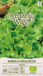 Lettuce Bionda A Foglia Riccia ORGANIC Seeds